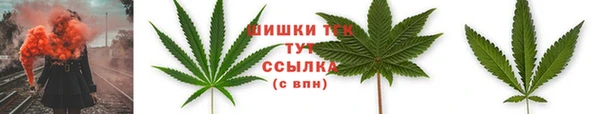 МДПВ Надым