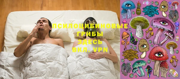 МДПВ Надым