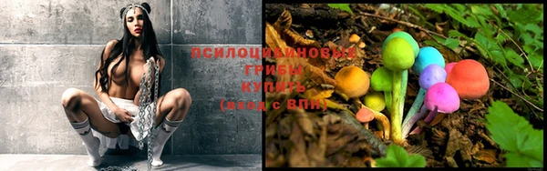 мдпв Навашино