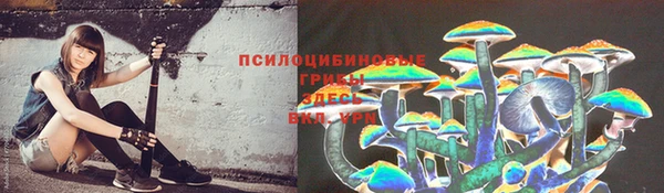 МДПВ Надым