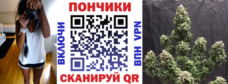 Бошки Шишки семена  МЕГА маркетплейс  shop состав  Чердынь 